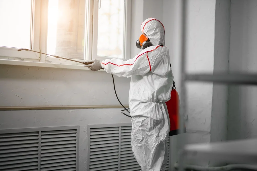 Professional mold remediation services in Broad Run, VA